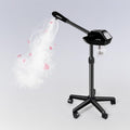 face Steamer for faical