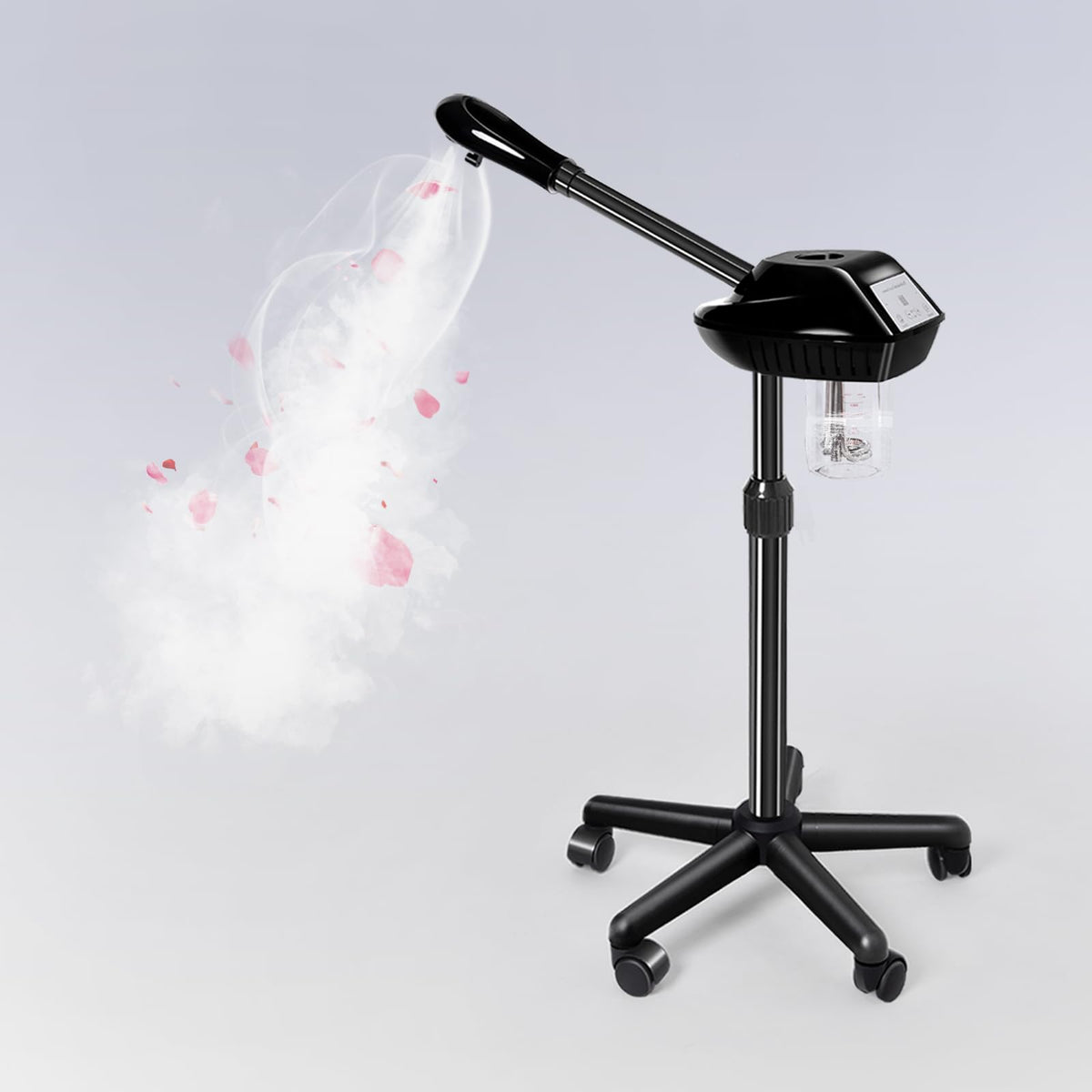 face Steamer for faical