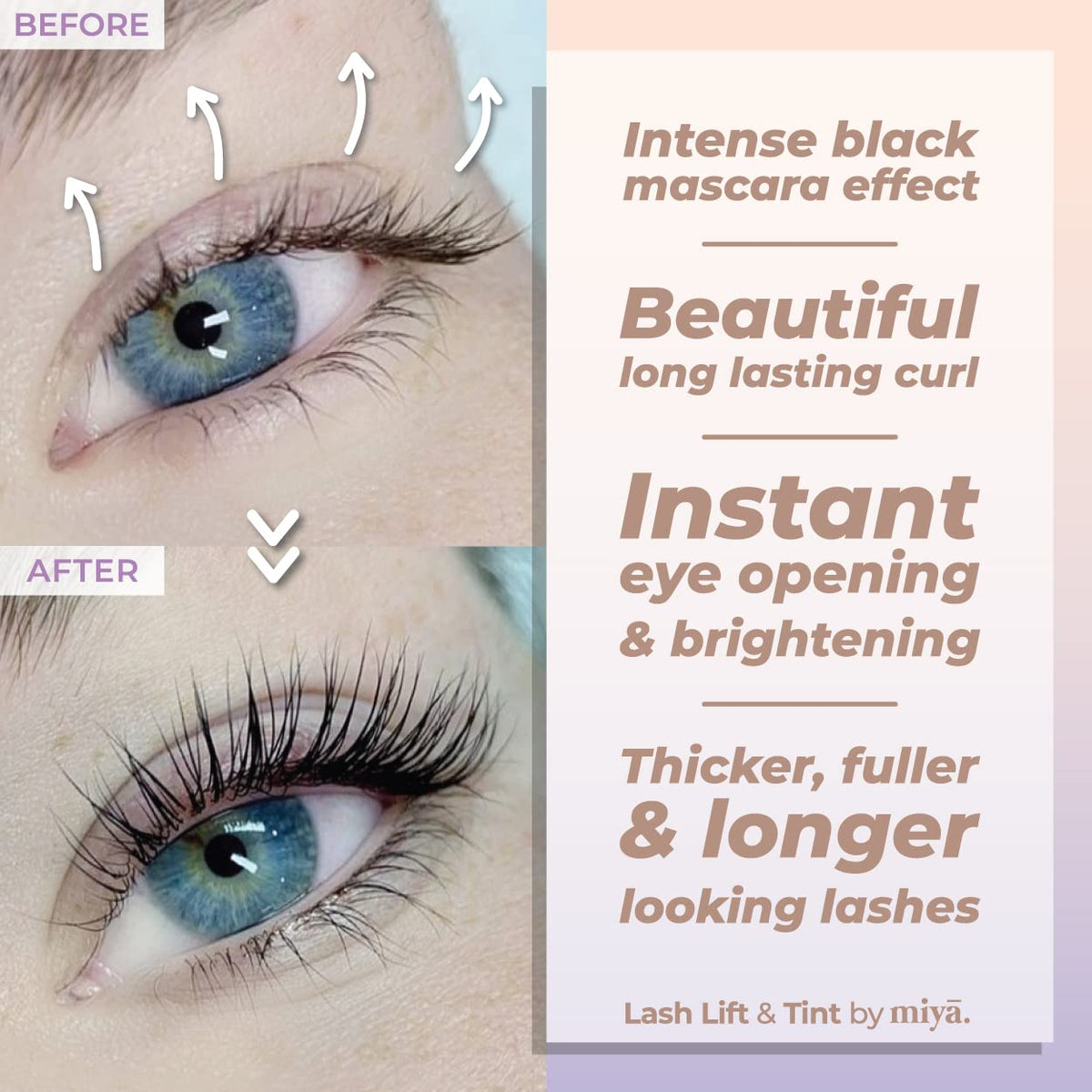 Lash Lift & Brow Lamination Kit for Fuller Lashes and Defined Brows